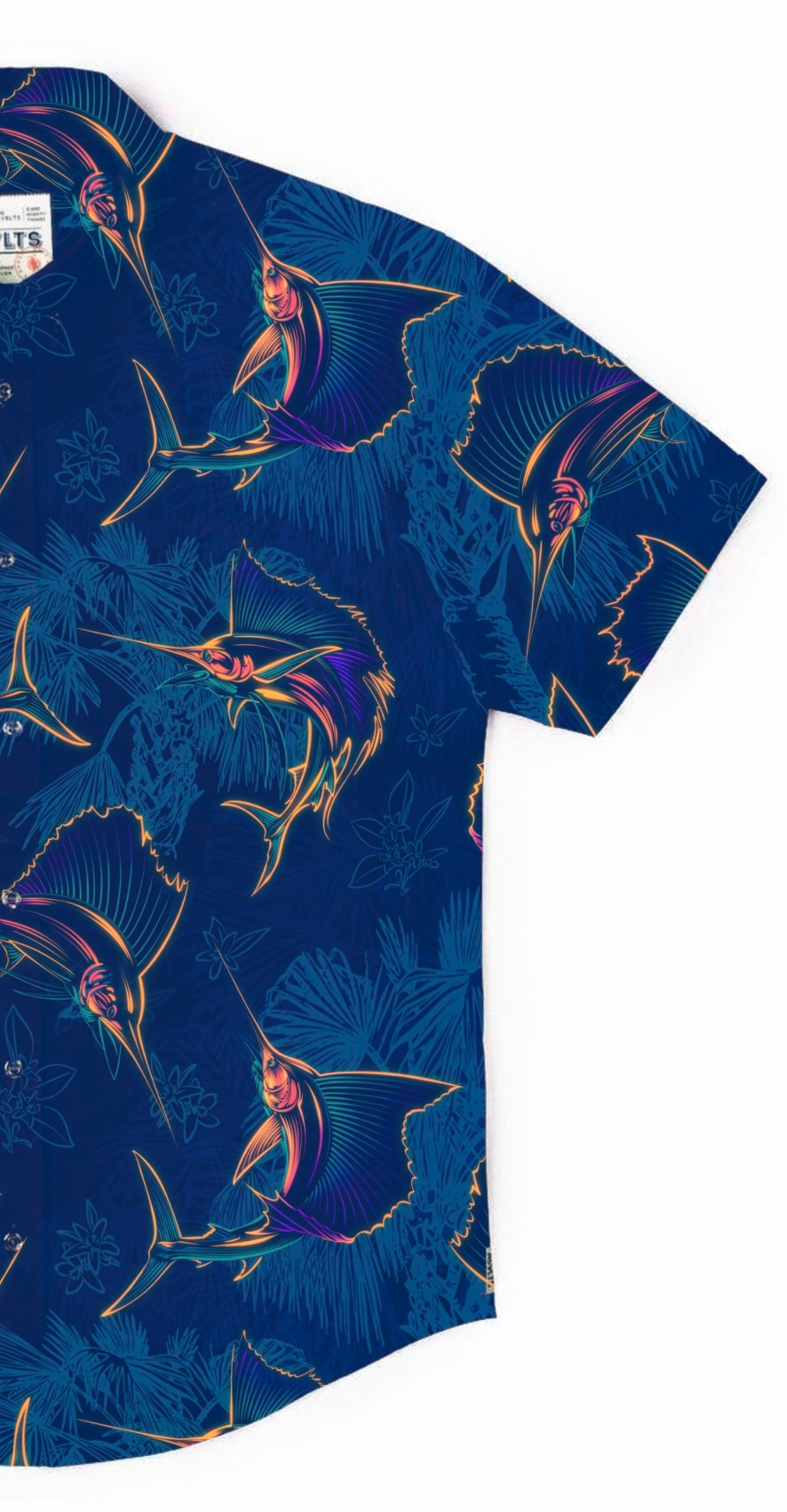 Sailfish